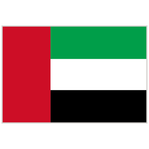 UAE flag icon